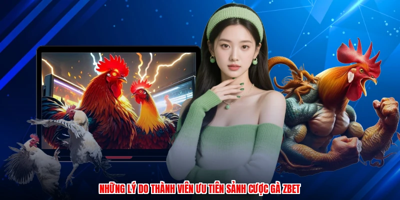 Những lý do thành viên ưu tiên sảnh cược gà ZBET
